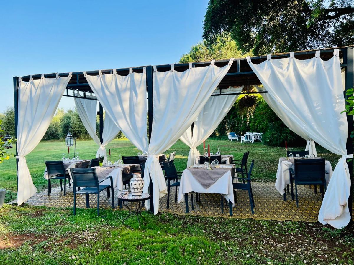 B&B Valle D'Oro Ansedónia Exteriör bild