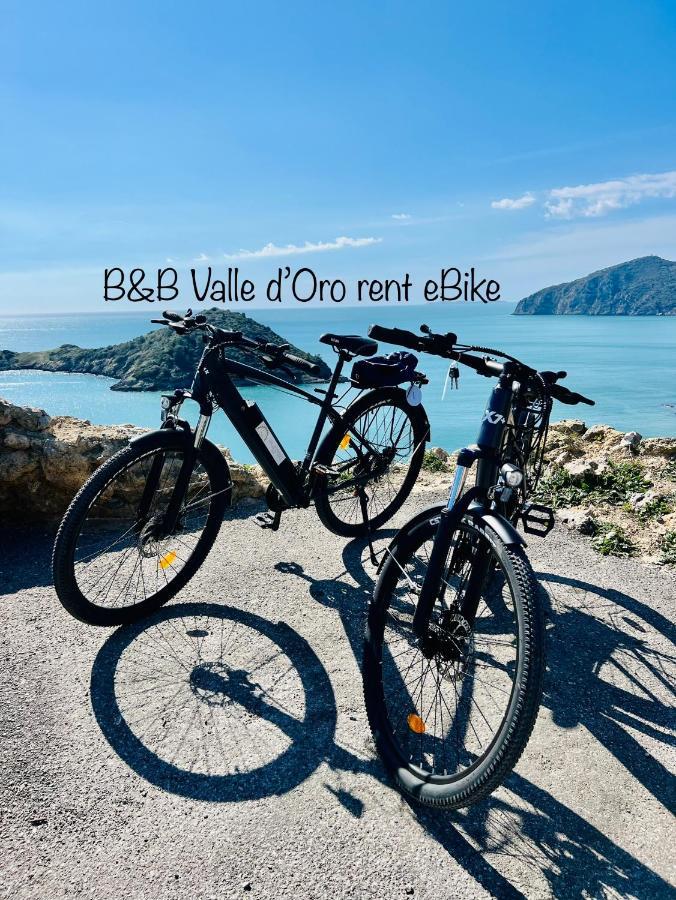 B&B Valle D'Oro Ansedónia Exteriör bild