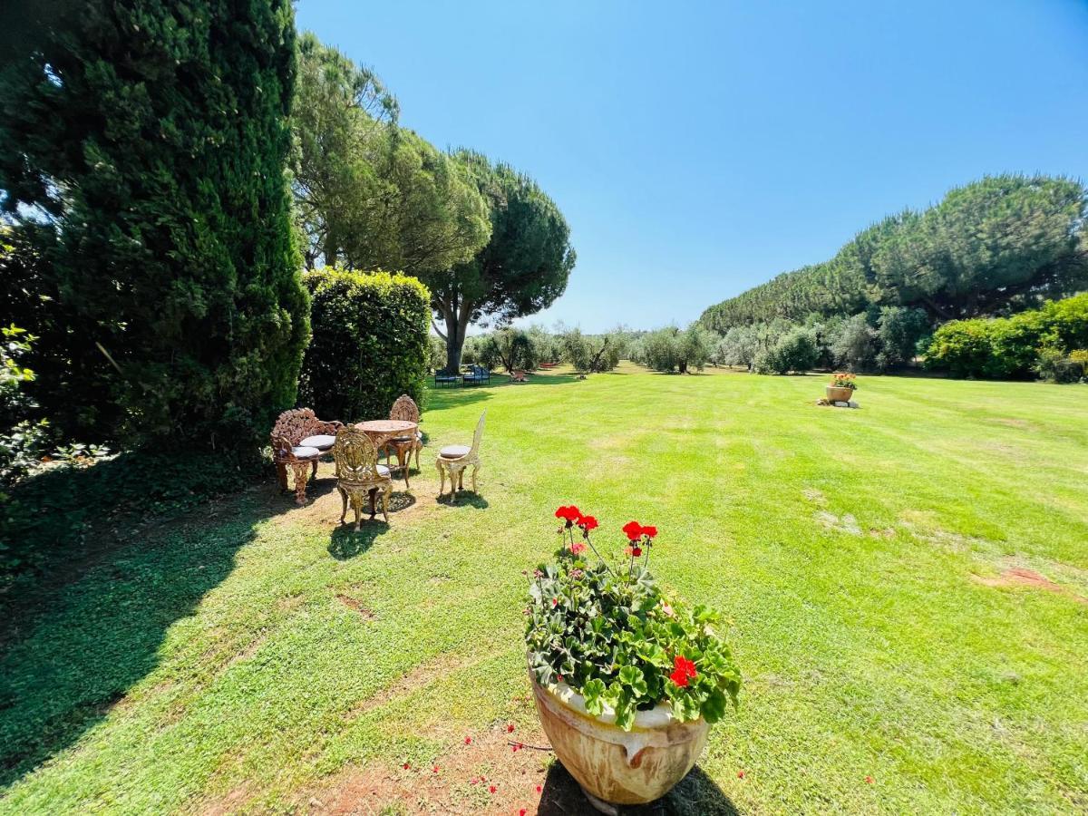 B&B Valle D'Oro Ansedónia Exteriör bild